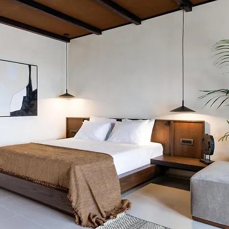 Hotel Sir Maximus Boutique & Platys Gialos (Mykonos)