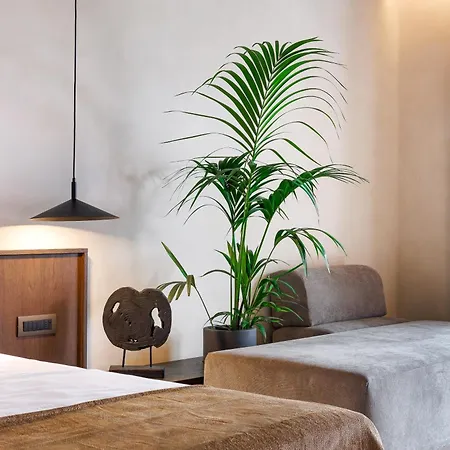 Hotel Sir Maximus Boutique &