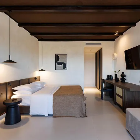 Hotel Sir Maximus Boutique & Platys Gialos (Mykonos)
