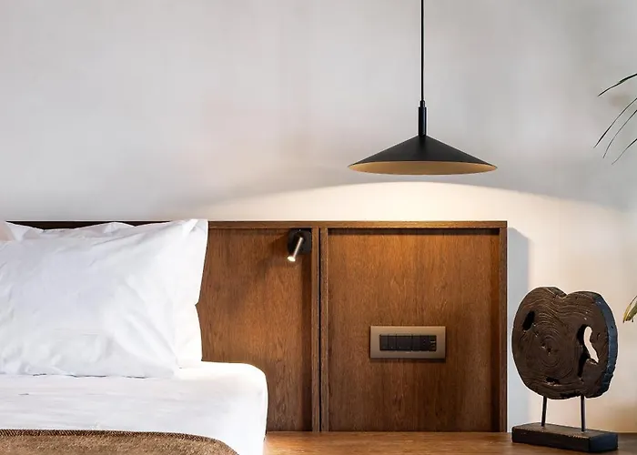 Hotel Maximus Mykonos 5*