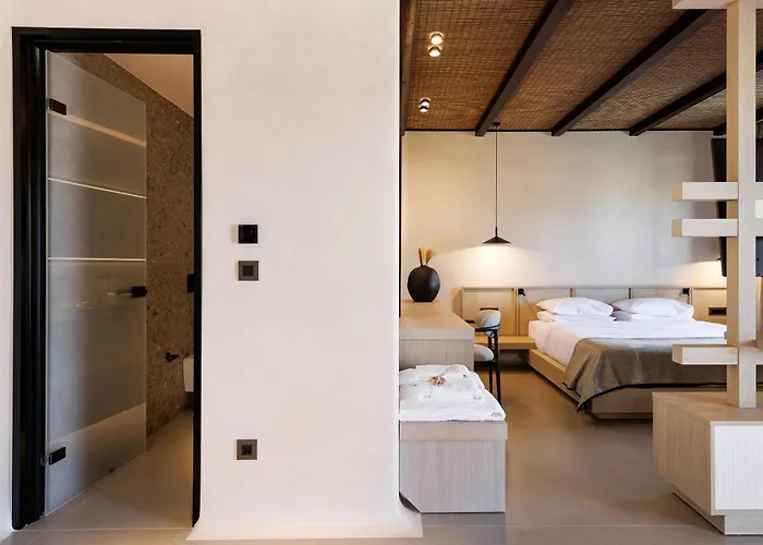 Maximus Mykonos מלון