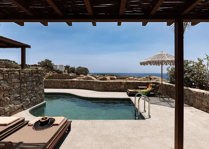 Maximus Mykonos מלון 5*