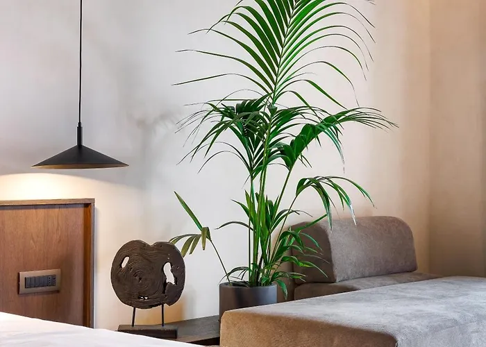 ホテル Maximus Mykonos