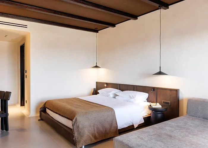 Maximus Mykonos ホテル 5*